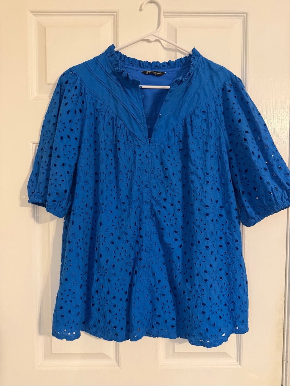 Amazon Blue Eyelet Puff-Sleeve Blouse